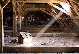 We are here to help you with everything related to attic cleaning. Check The Informative Blog Our Experts At Attic Cleaning San Mateo Ca Created