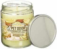 Soundview veterinary hospital specialty pet products is the most recognized source for odor extermination in veterinary. Pet Odor Exterminator Candle Vanilla Glitz 12 89 Picclick