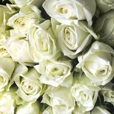 Maybe you would like to learn more about one of these? Wholesale Wedding And Event Flowers Portland Oregon Wholesale Flowers Flower Market Wholesale Flowers Wedding