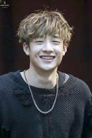 Stray Kids Zodiacs 36 Stray Kids Chan Stray Bangs