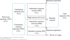 chapter 3 alveolar ventilation pulmonary physiology 8e