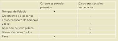 Ciencias naturales material para docentes. Evaluacion Ayuda Para Tu Tarea De Ciencias Naturales Sep Primaria Quinto Respuestas Y Explicaciones