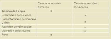 Libro completo de ciencias naturales quinto grado en digital, lecciones, exámenes, tareas. Evaluacion Ayuda Para Tu Tarea De Ciencias Naturales Sep Primaria Quinto Respuestas Y Explicaciones