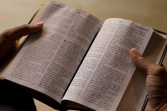 Image result for bible"