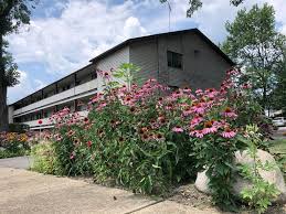 Search 24 apartments for rent with 1 bedroom in akron, ohio. 1 Bedroom Apartments For Rent In Akron Oh 20 Rentals Trulia