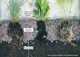 Gravel is international, but types and uses vary enormously. How To Plant A Low Maintenance Gravel Garden Garden Gate