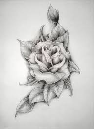 Rose Tattoo I Want This On My Shoulder With A Red One And Thorn Stems Around It With Images Sleeve Tattoos Tattoos Rose Tattoos