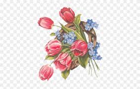 tulip clipart vintage postcards greeting cards watercolor gifs de la virgen maria free transparent png clipart images download tulip clipart vintage postcards