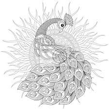 Pfau Im Zentangle Stil Erwachsene Antistress Malvorlagen Wandposter Poster Pfau Strauss Schwarz Myloview De