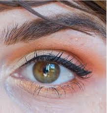Le maquillage smoky eye est idéal pour sophistiquer votre look quand vous sortez ou pour un événement spécial. Tuto Maquillage Tuto Yeux Special Smoky Eyes You Are Cosmetics