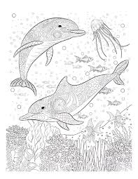 Delfin Ausmalbild 100 Malvorlagen Kostenlos Zum Ausdrucken