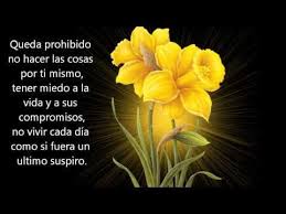 Maxresdefault Jpg 1280 720 Dark Love Poems Love Poems Pablo Neruda