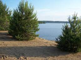 Secluded tent and rv sites, some water hookups, adjacent to way of the wilderness canoe outfitter and trails end cafe. Trail S End Campground Seasonal Family Camping Or Cabin Rentals In The Adirondack Foothills Trail S End