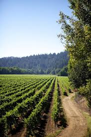 Pin By North Country Limousine On Imagine Wine Country California Sonoma Wine Country Sonoma Valley