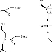 Pdf Application Of Pna And Lna Oligomers To Chemotherapy