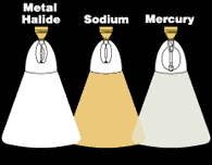 metal halide