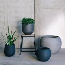 Garden Pots Online By The Balcony Garden Garden Pots Pot Plants Planters Flower Pot Desi Potted Plants Outdoor Garden Pots Indoor Plant Pots