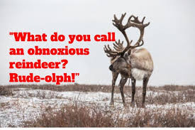 We think cybersalt's collection of christmas jokes is the best collection on the net. 110 Best Christmas Jokes And The Funniest Festive One Liners