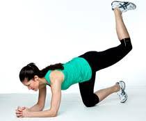 Bildresultat för hunden övning