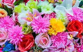 Check spelling or type a new query. Unknown Meanings Of 12 Beautiful Flowers Blog Nurserylive Com Gardening In India