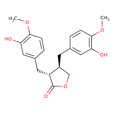 Image result for Hewittia