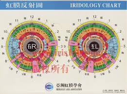 How To Read Iridology Eye Charts Iriscope Iridology
