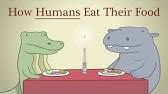 Maybe you would like to learn more about one of these? How Animals Eat Their Food Misterepicmann Youtube