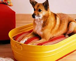 To make diy dog beds. 5 Easy Inexpensive Diy Dog Beds