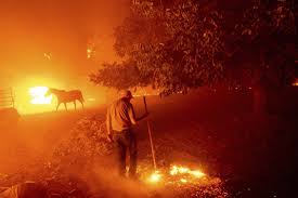 This year, wildfires have now burned over 3.7 million acres across all fire jurisdictions. Essential California Fires Have Already Burned More Acres Statewide In 2020 Than During All Of 2019 Los Angeles Times