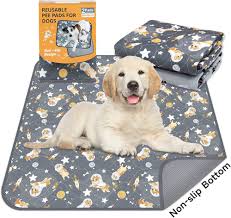 Washable Pee Pads for Dogs Reusable Dog Pee Pads Fast Absorbing Waterproof Puppy  Pads Dog Training Pads Mats Dog Whelping Pads Non-Slip Pet Pads Dog Potty  Pads Absorbent and Odor Controlling(2 Pack) :