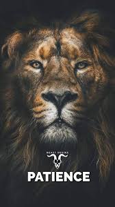 Beast Desire Wallpaper Animal Quotes Beast Quotes Beast Wallpaper