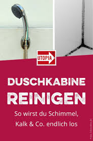 Pin Von Michaela Blab Auf Haushaltstips In 2020 Duschkabine Reinigen Reinigen Hausmittel
