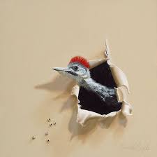 Grey Bird With Red Mohawk Fuzzy Mohawk Pileated Woodpecker Trompe L Oeil Bird Oil Painting By Camille Engel Painting Prints Birds Painting Acrylic Painting