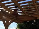 Outdoor Ceiling Fans - Outdoor Hansen Wholesale