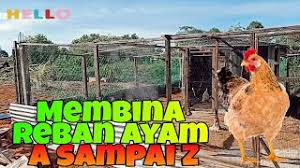 We did not find results for: Membina Reban Ayam Dari A Sampai Z Youtube