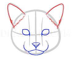 Step by step brustbeutel pegasus dream. How To Draw Wild Cats Step By Step Drawing Guide By Makangeni Dragoart Com