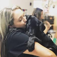 Millcreek animal hospital is a full service aaha accredited animal hospital and welcomes both emergency treatment cases as well as pet pati. Meet Our Team