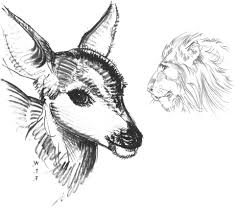 You get a wide variety of animals to study including most zoo animals like gorillas and giraffes. Animals Of The World The Complete Beginner S Guide To Drawing Animals Book