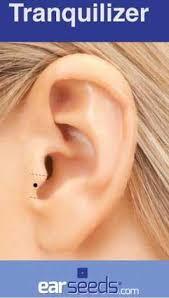 Massage This Point For A Calming Effect Ear Seeds Products