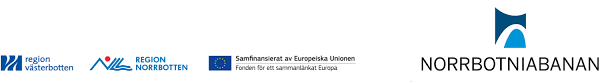 Piteå har i dagsläget inget exakt läge för placering av ett nytt resecentrum. Meltwater Pressify Io