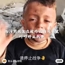 反对战争与伤害的呼声| TikTok