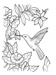To go with the coloring tribe's bird and birdhouse themed coloring page challenge, i illustrated this intricate hummingbird coloring page for you to give a go. 20 Free Printable Hummingbird Coloring Pages Everfreecoloring Com
