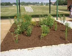 Maybe you would like to learn more about one of these? New Garden Bed Soil Preparation Butterfly Gardening