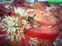 L Ail Des Ours Allium Ursinum Ail Des Ours Cuisine Sauvage Recettes De Cuisine