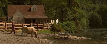 Legacy(2018) subtitle indonesia streaming movie download gratis online. Digital Domain Lake Placid