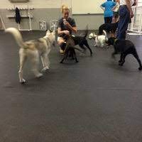 Using this schedule as a guide, you can teach your dog the basics in. For Pets Sake Dog Training 32 Visitors