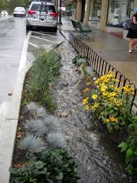 Rain Gardens 1 Jpg Landscape Design Garden Landscape Design Urban Garden