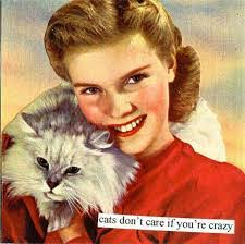 Edwin Madero's Instagram, Twitter & Facebook