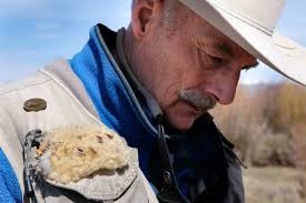 2018 Annual Report Building a Permanent Home for Environmental Journalism  in America