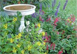10 Butterfly Garden Ideas Most Elegant And Stunning Butterfly Garden Design Florida Native Plants Backyard Garden Design
